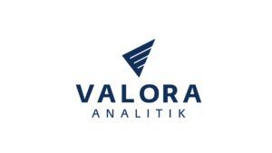 Valora Analitik